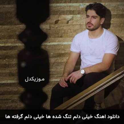 دانلود اهنگ خیلی دلم تنگ شده ها خیلی دلم گرفته ها سعید حسینی